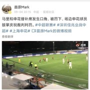jiuyou- 朗斯主场草皮状况堪忧，足协介入调查维护标准  