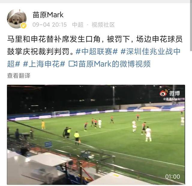  朗斯主场草皮状况堪忧，足协介入调查维护标准  
